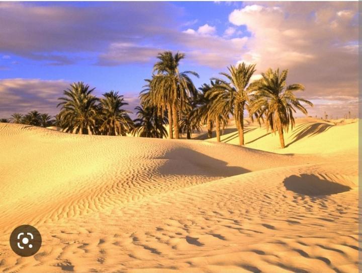Riad Sable Chaud Маракеш Екстериор снимка